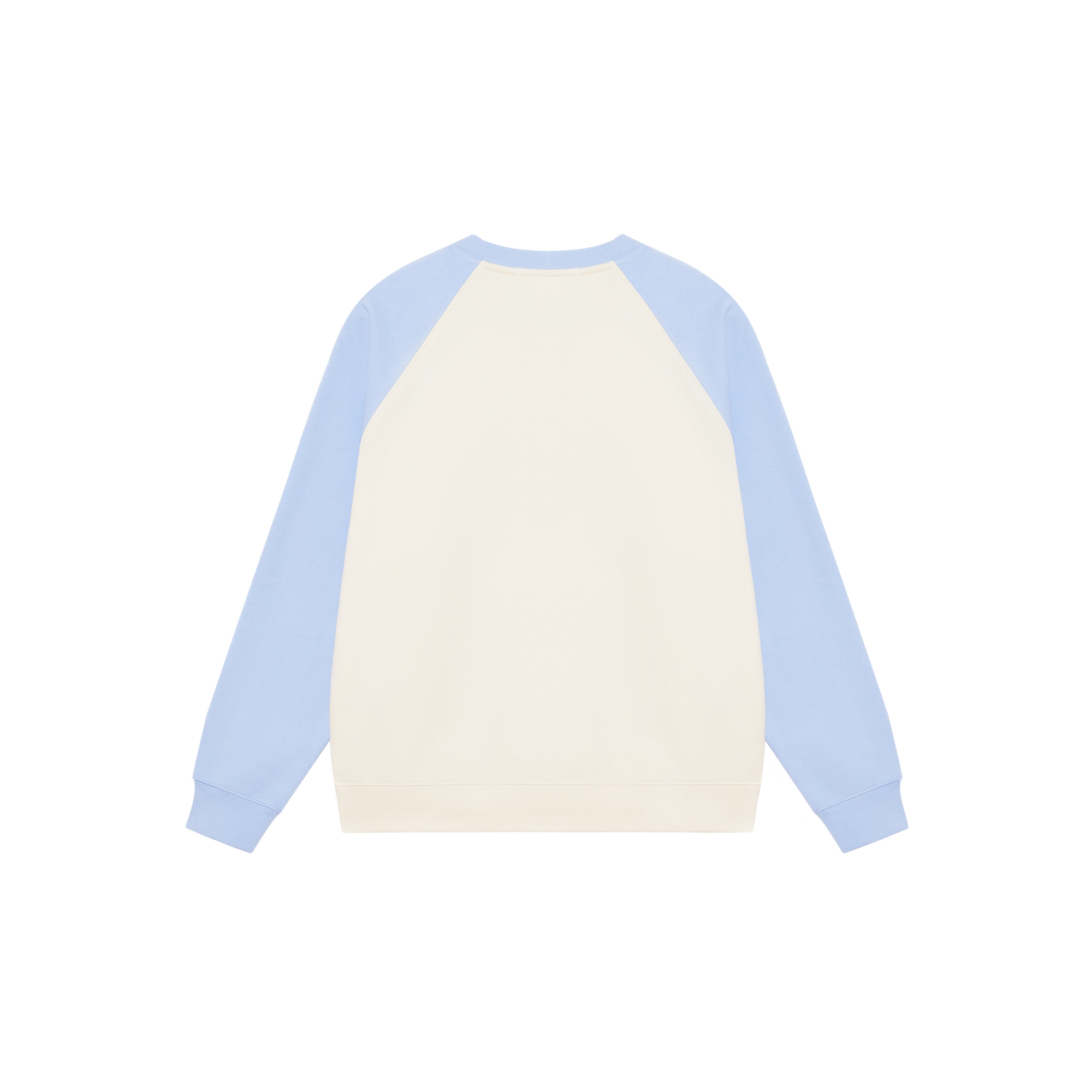 Blue Color-blocked Raglan Sleeve Foam C-letter Print Hoodie