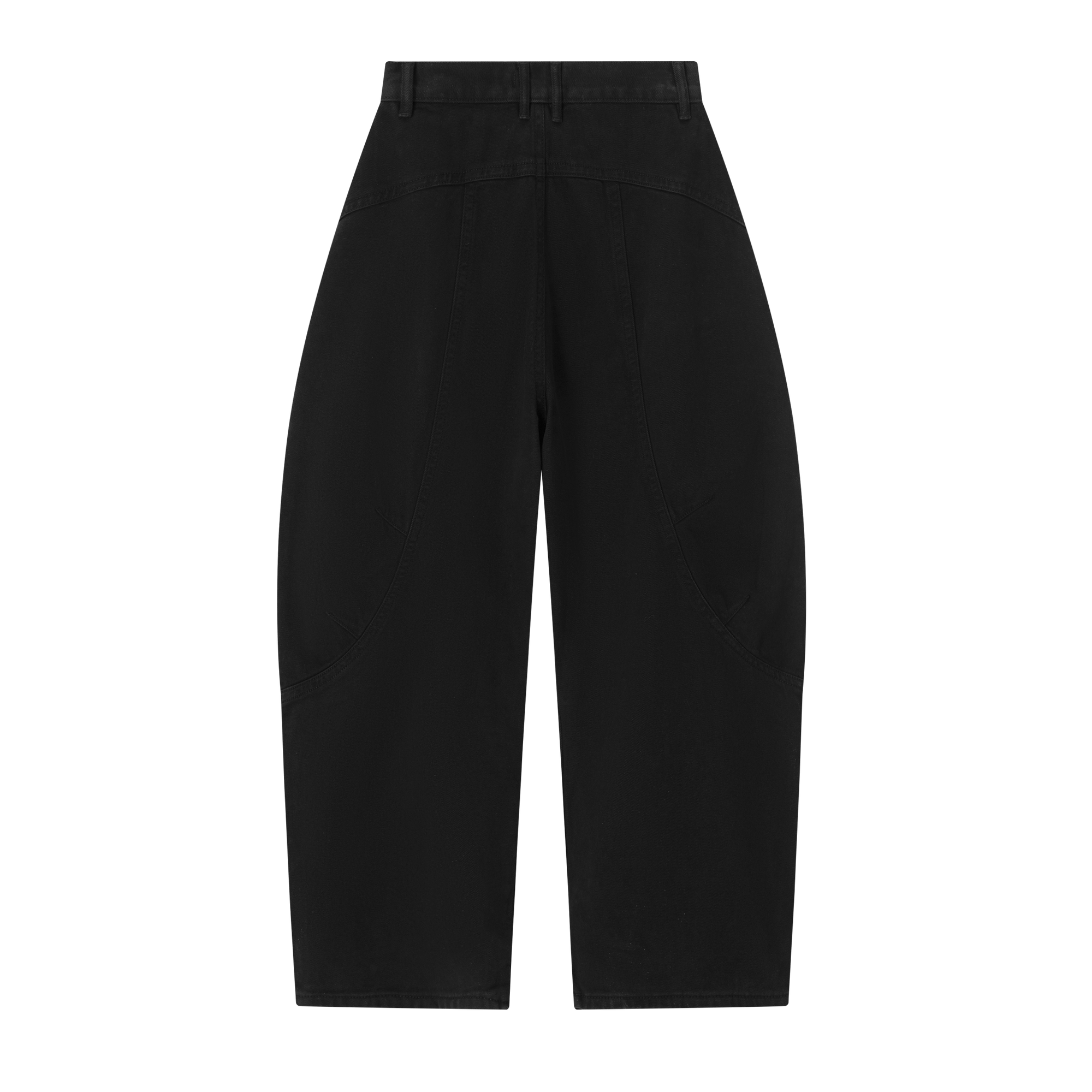 Black Segmented Curved Silhouette Pants