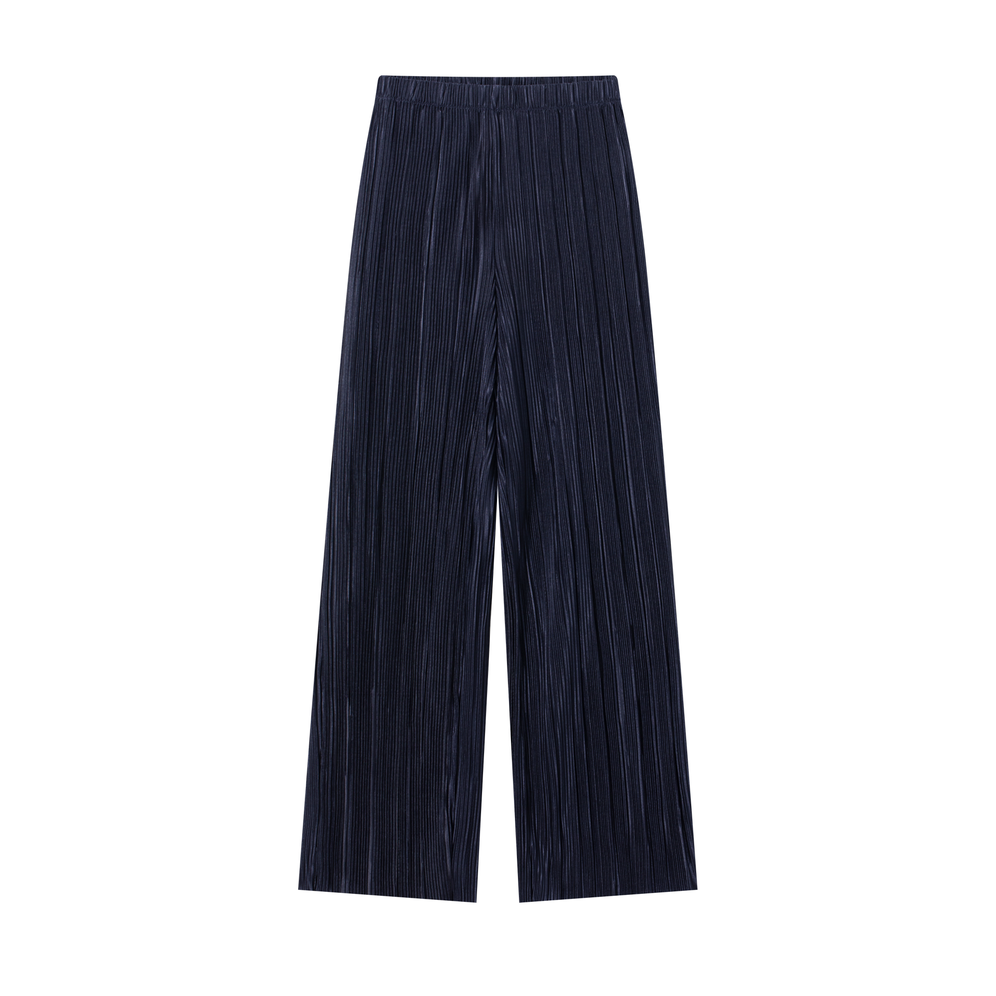 Navy Pleated Wide Leg Pants